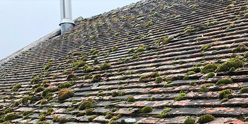 Demoussage et nettoyage de toiture au Vésinet (78110) dans les Yvelines (78)